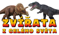 Zvířata Zvířata