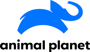 Animal Planet Animal Planet