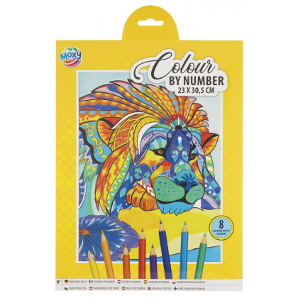 Kreativní set malování podle čísel + 8 pastelek 23x30,5 cm