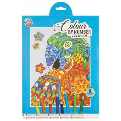 Kreativní set malování podle čísel + 8 pastelek 23x30,5 cm