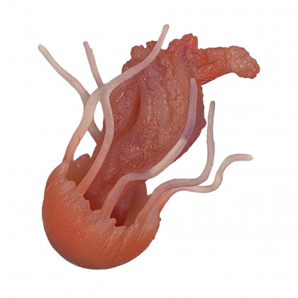 Medúza gumová 10 cm