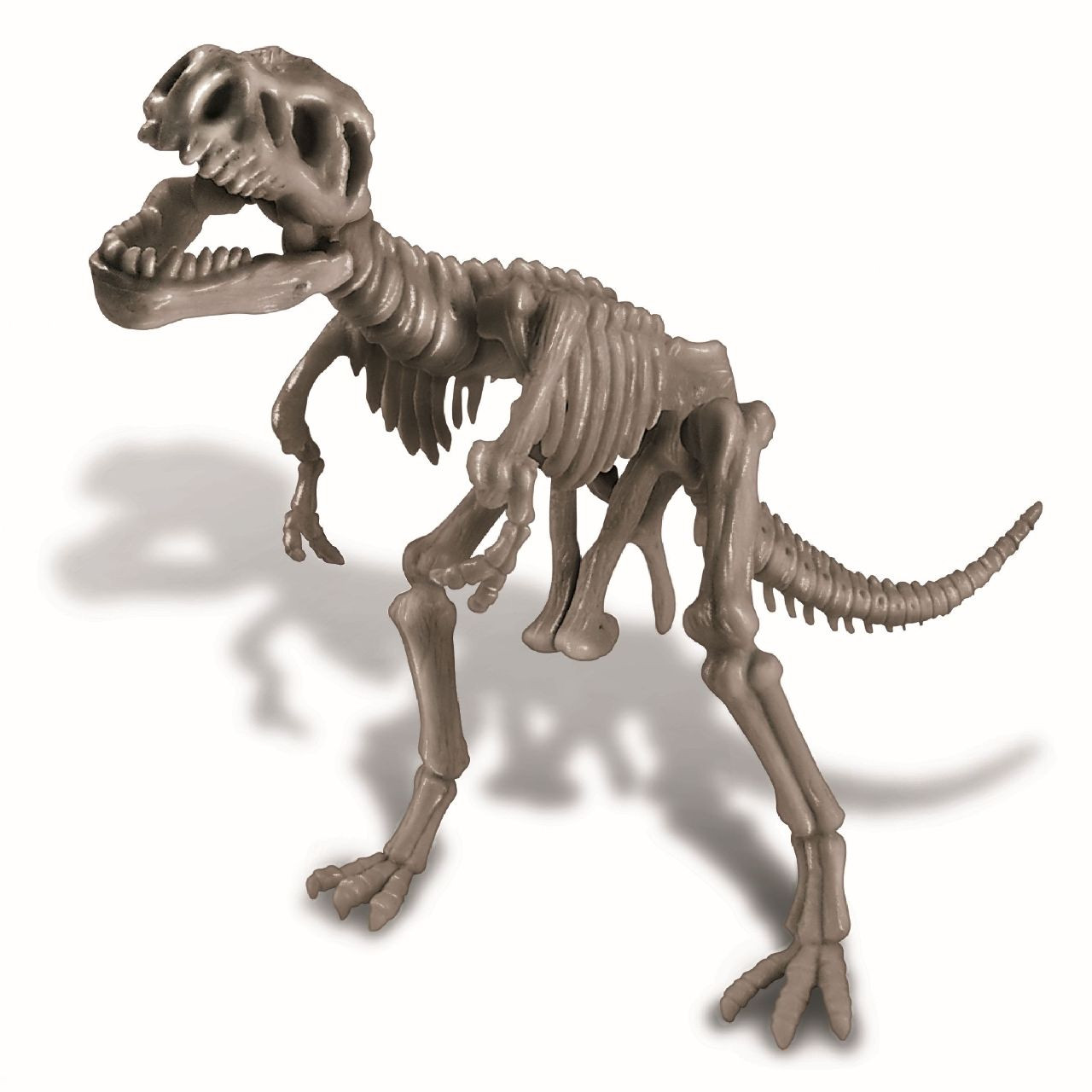 Dinosauří kostra - REX
