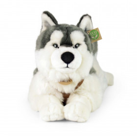 Plyšový pes husky s postrojem ležící 60 cm ECO-FRIENDLY