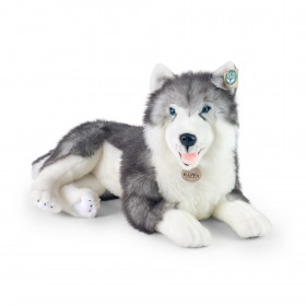Velký plyšový pes husky ležící 60 cm ECO-FRIENDLY