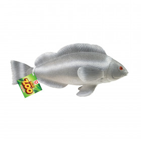 Ryba tropická 24 - 36 cm