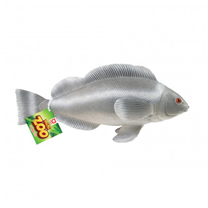Ryba tropická 24 - 36 cm