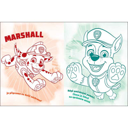 Omalovánky a 100 tetování Paw Patrol/Tlapková Patrola