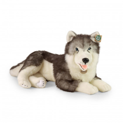 Veľký plyšový pes husky ležiaci 60 cm ECO-FRIENDLY