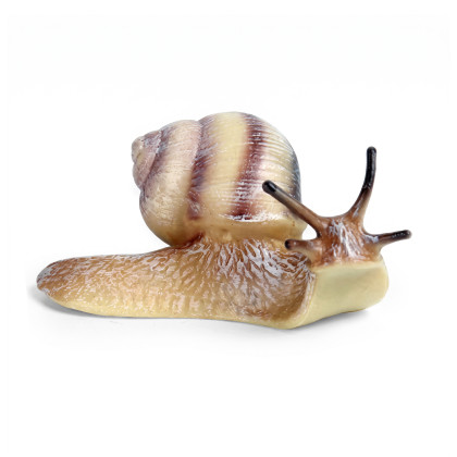 Slimák 8 cm