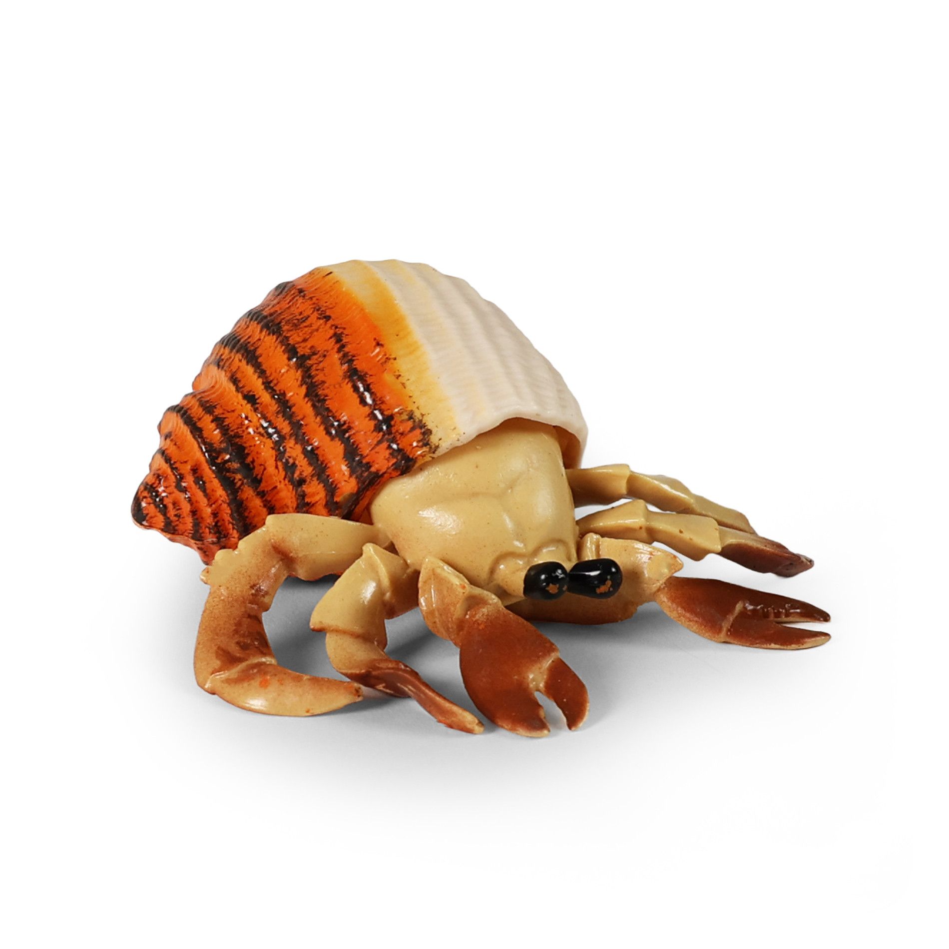 Krab s ulitou 10 cm
