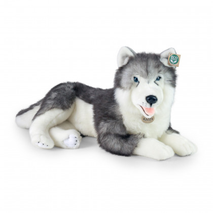 Veľký plyšový pes husky ležiaci 60 cm ECO-FRIENDLY