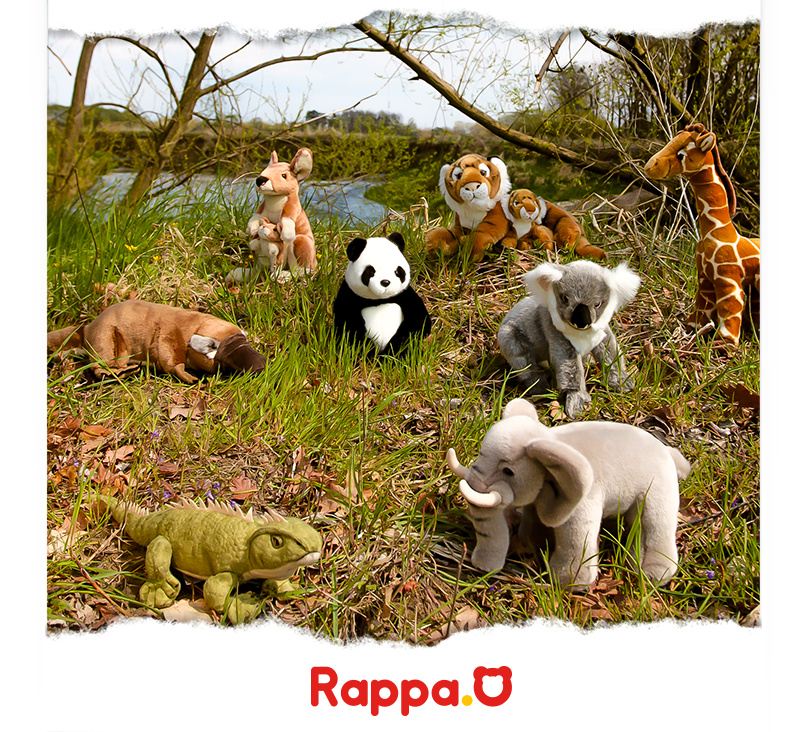 RAPPA - Eco-Friendly