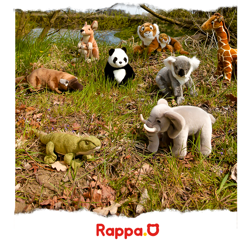 RAPPA - Eco-Friendly